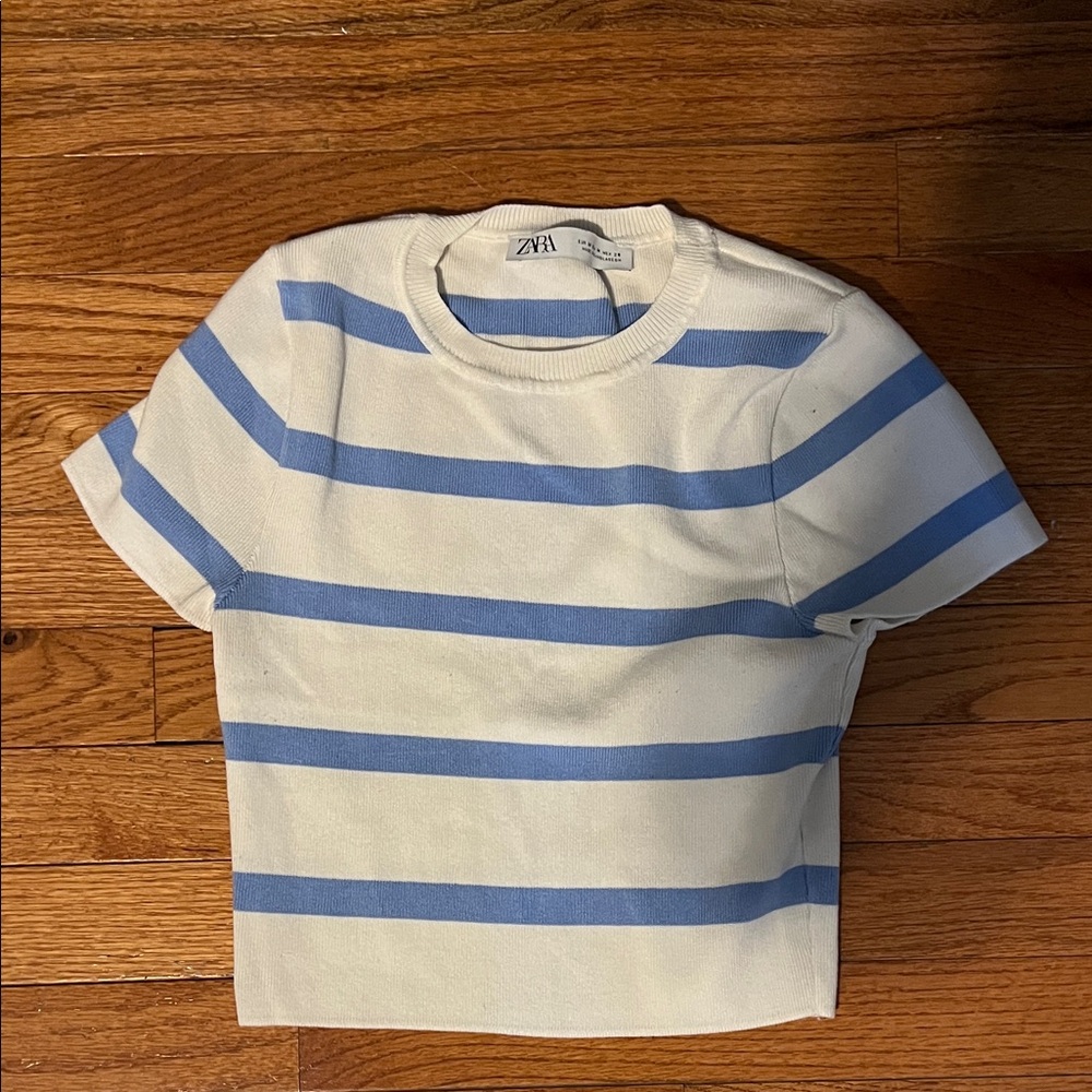 Zara Women’s Blue and White Striped Crop Top
